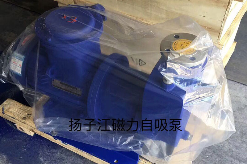 ���P�����������